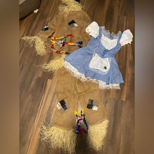 Wizard of Oz themed “Dorothy” and “Scarecrow” adult Halloween costumes